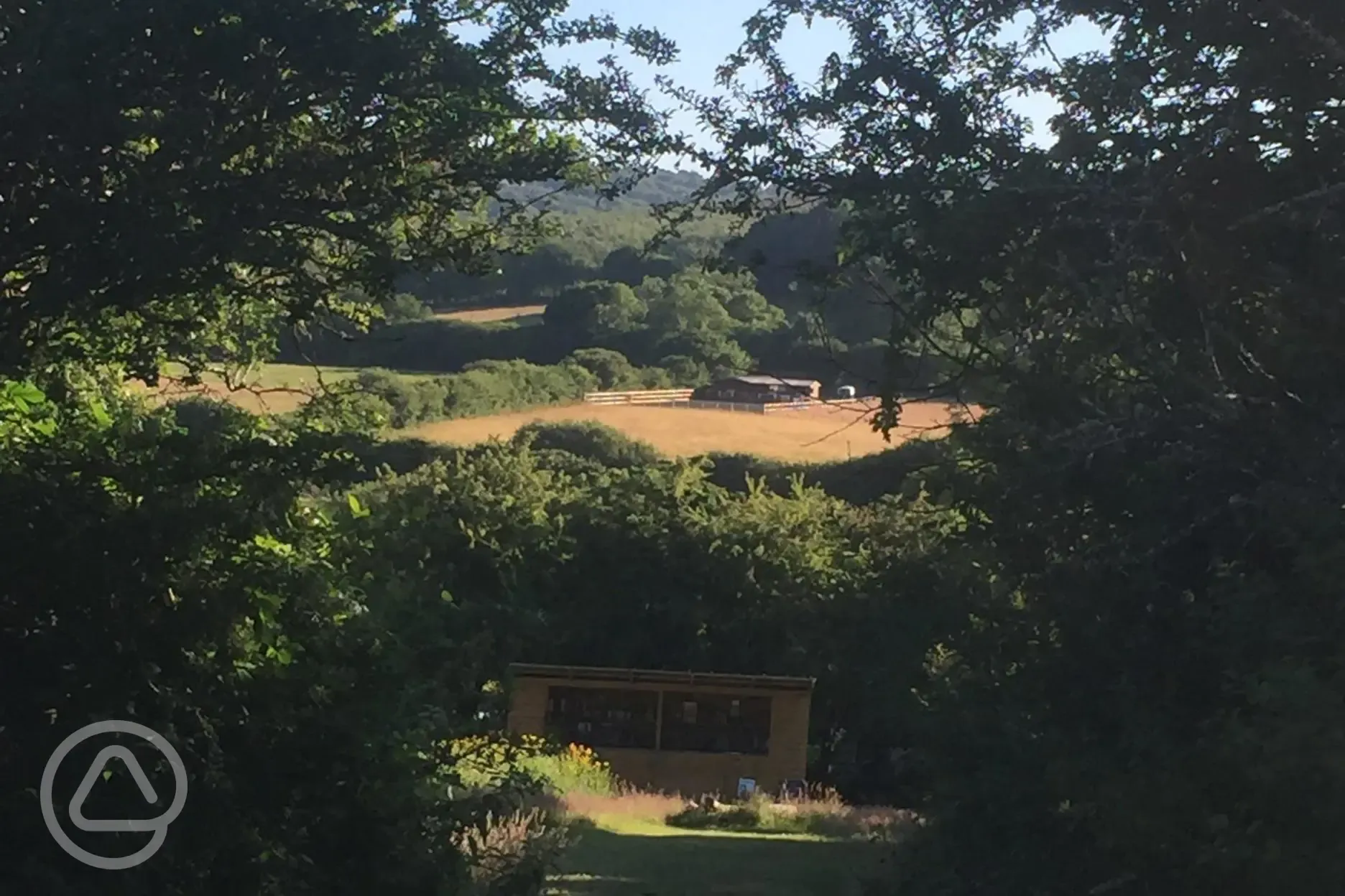 Site views Site views