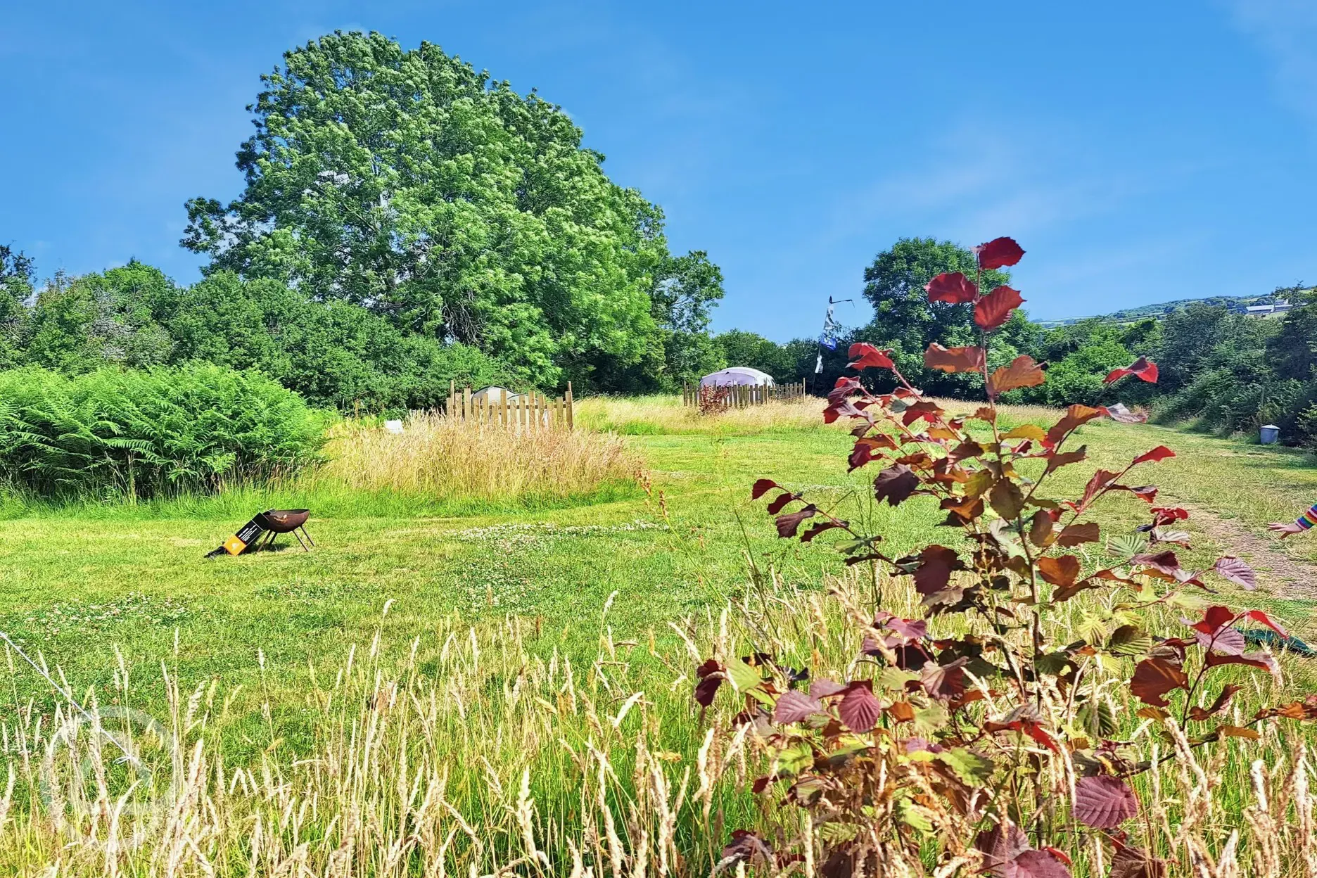 Non electric grass pitches with fire pits to borrow