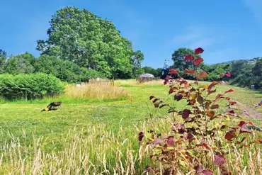 Non electric grass pitches with fire pits to borrow