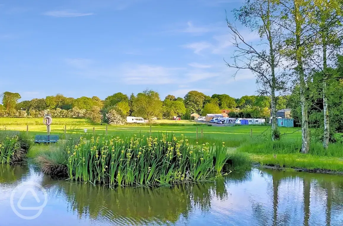 Pitches by the fishing pond