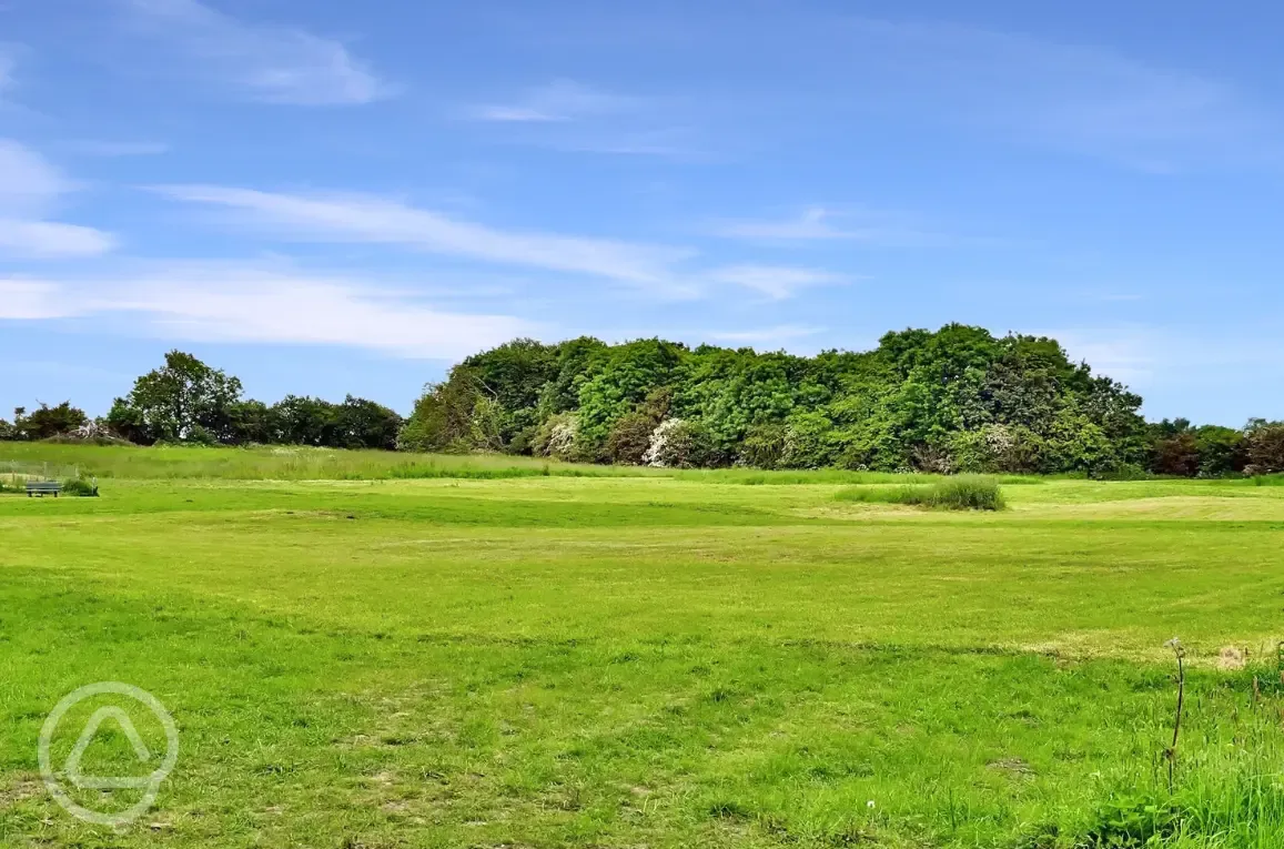 Non electric grass pitches