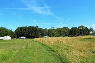 Grass pitches 