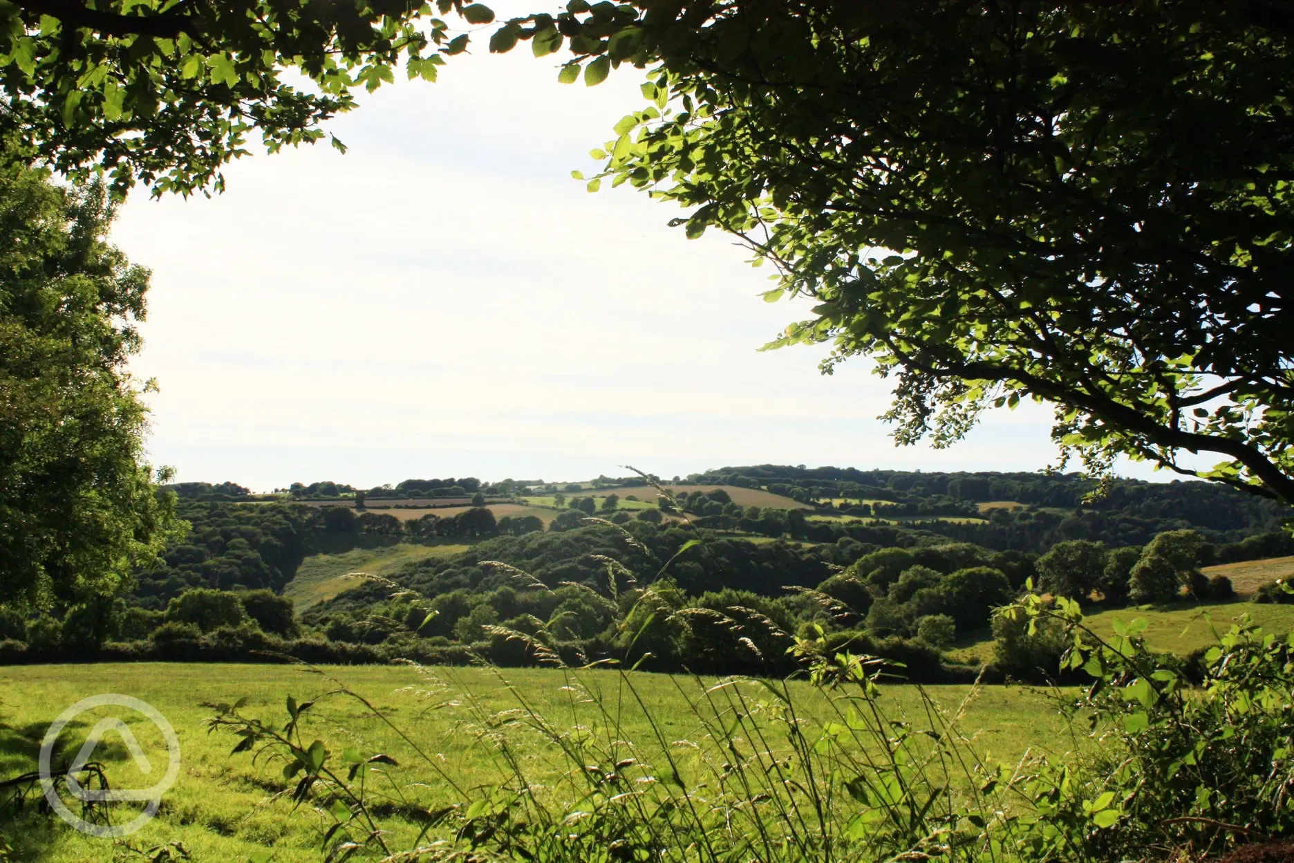 Views over the site