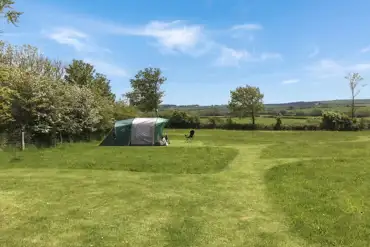 Non electric grass tent pitches 