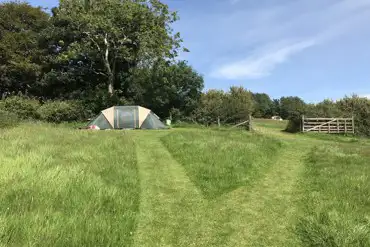 Non electric grass tent pitches 