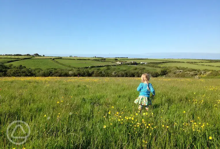 Nearby fields with sea view