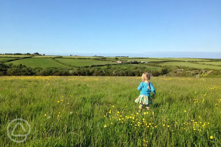 Nearby fields with sea view