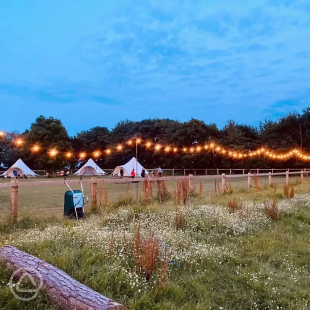 The Glamping Field Guest Photo