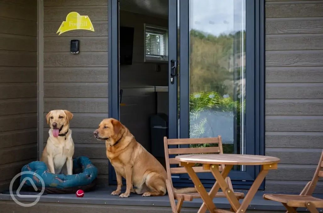 Pod cabin - dog friendly