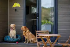 Pod cabin - dog friendly