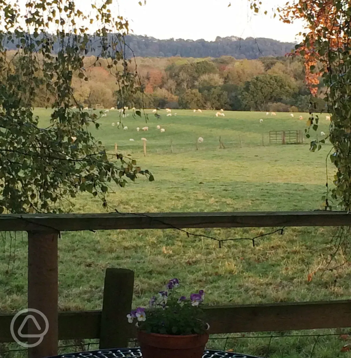 Views from the shepherd's hut