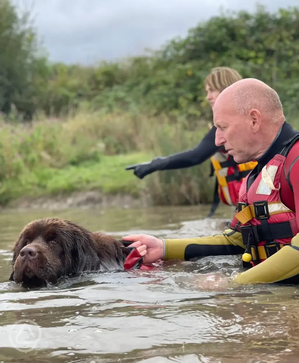 Open water swimming with dogs (May - September with pre booked sessions only)