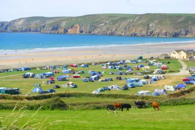 Newgale Campsite
