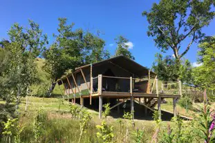 Oaklands Glamping and Treehouse, Welshpool, Powys