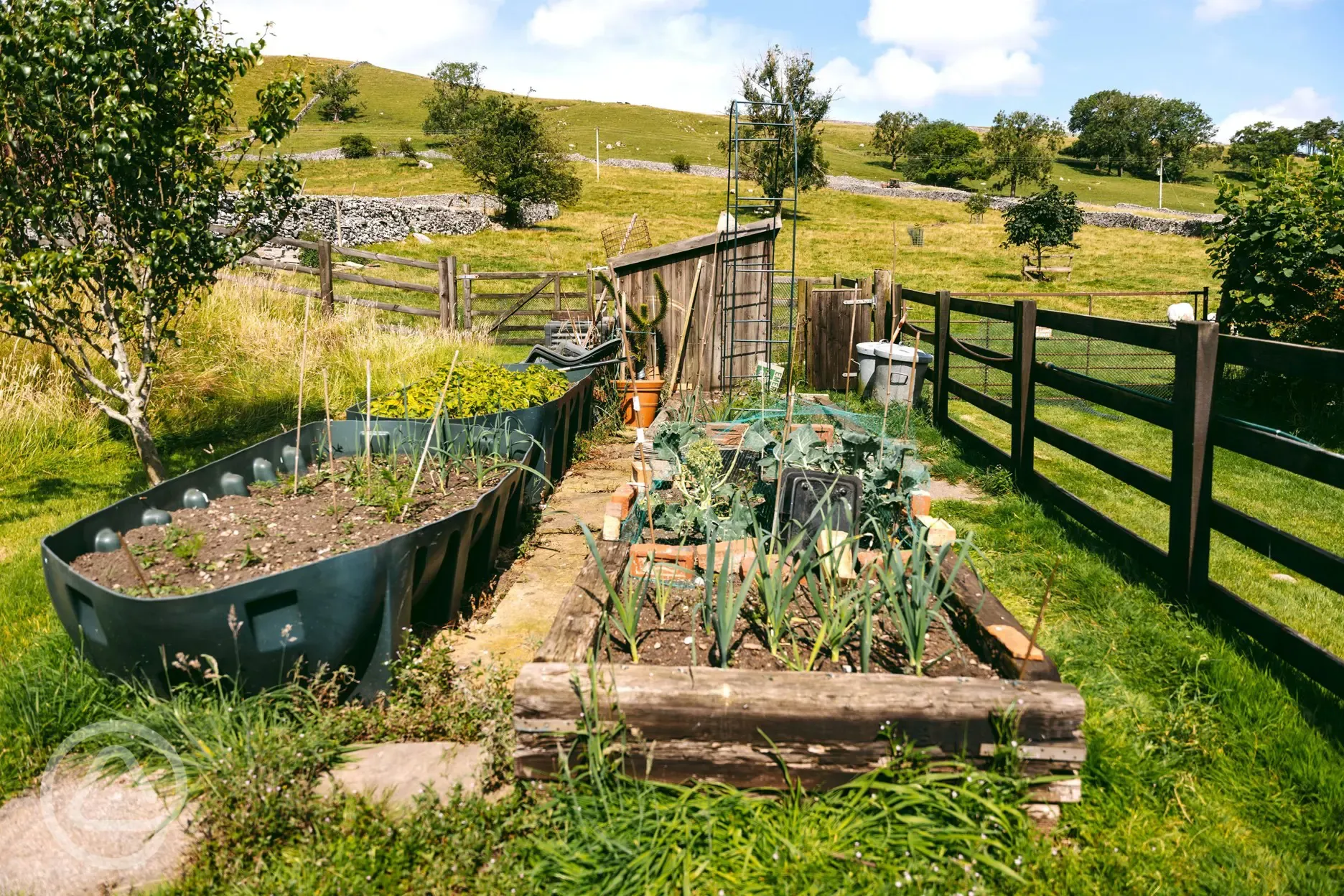 Vegetable garden