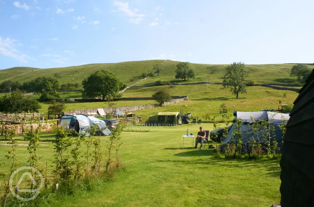 Grass tent pitches - optional electric