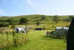 Grass tent pitches - optional electric