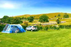 Grass tent pitches - optional electric