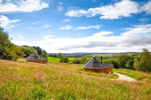 Little Seed Field, Grantley, Ripon, North Yorkshire