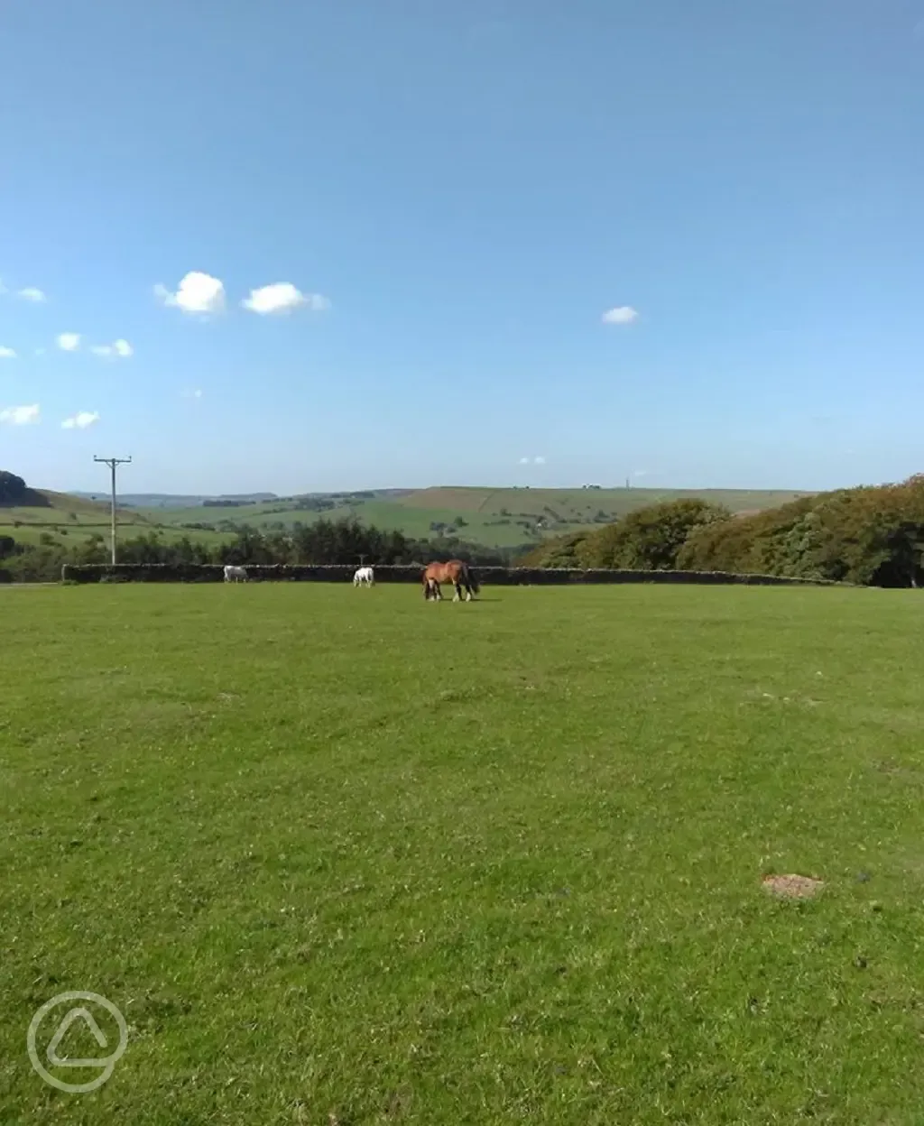 Horse riding at Berry Bank Farm Camping