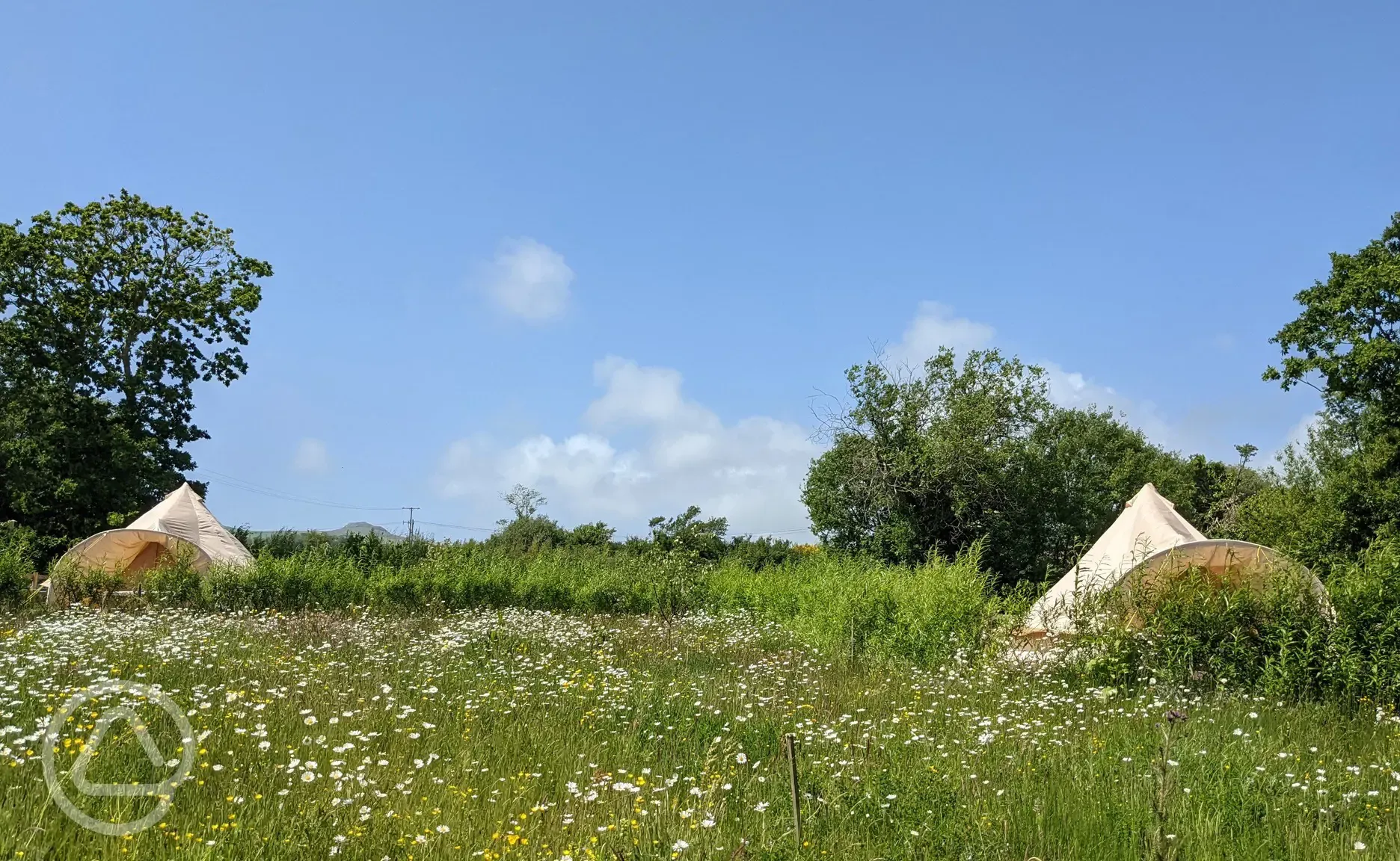 Bell tents 