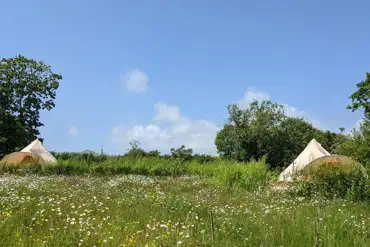 Bell tents at Ty Cynan