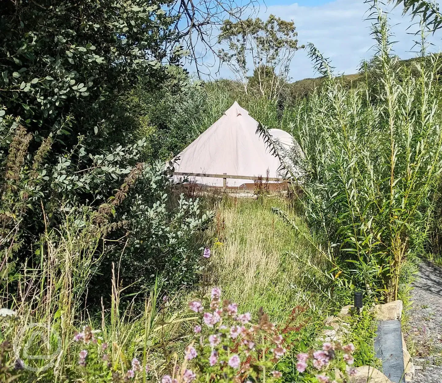 Bell tents 