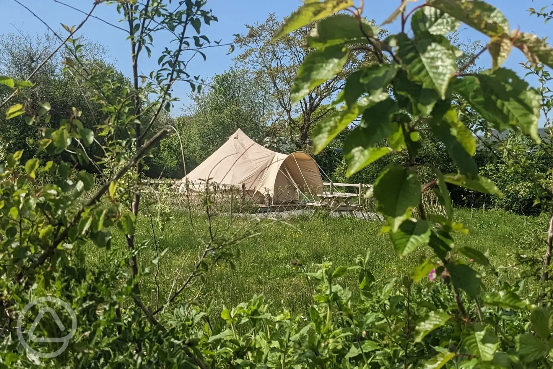 Bell tents 