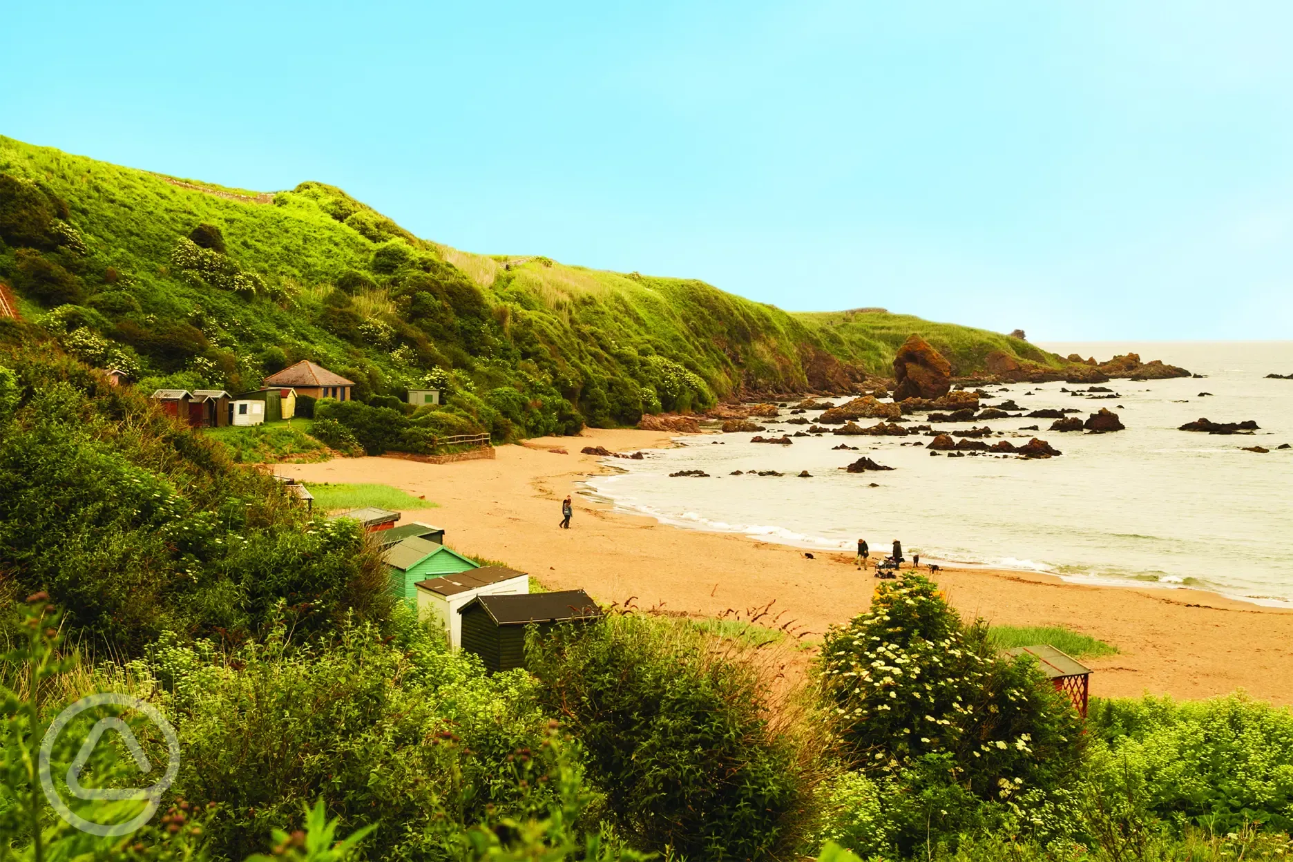 Coldingham Bay Beach