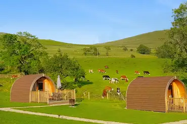 Camping pods with farm fields all around