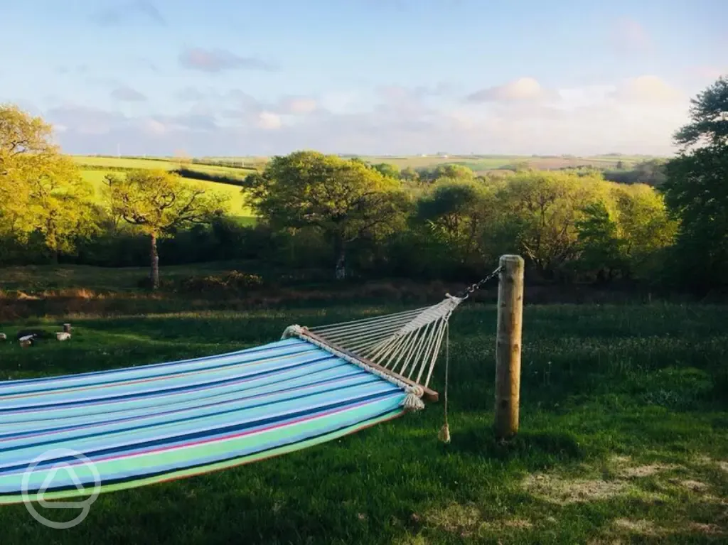 Hammock at Welcombe Meadow