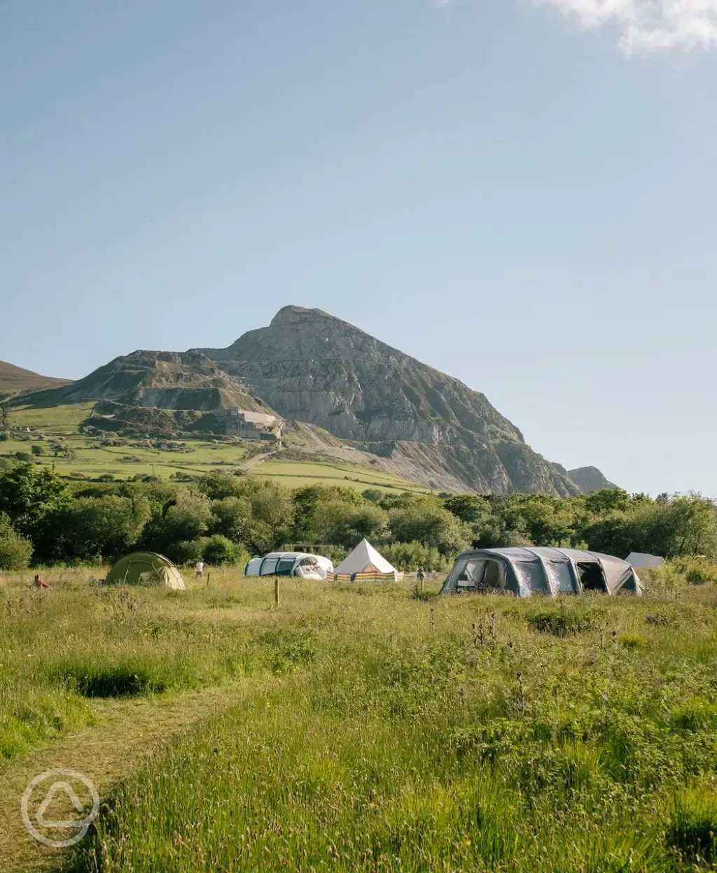 Camping field