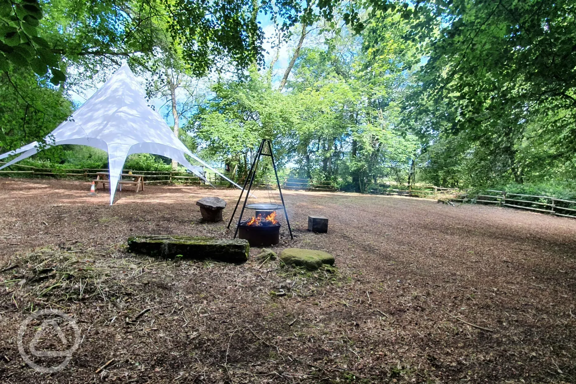 Bluebell woodland pitch