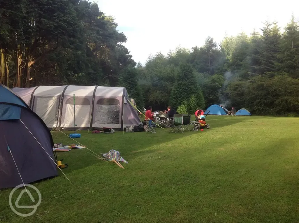 Campers on site