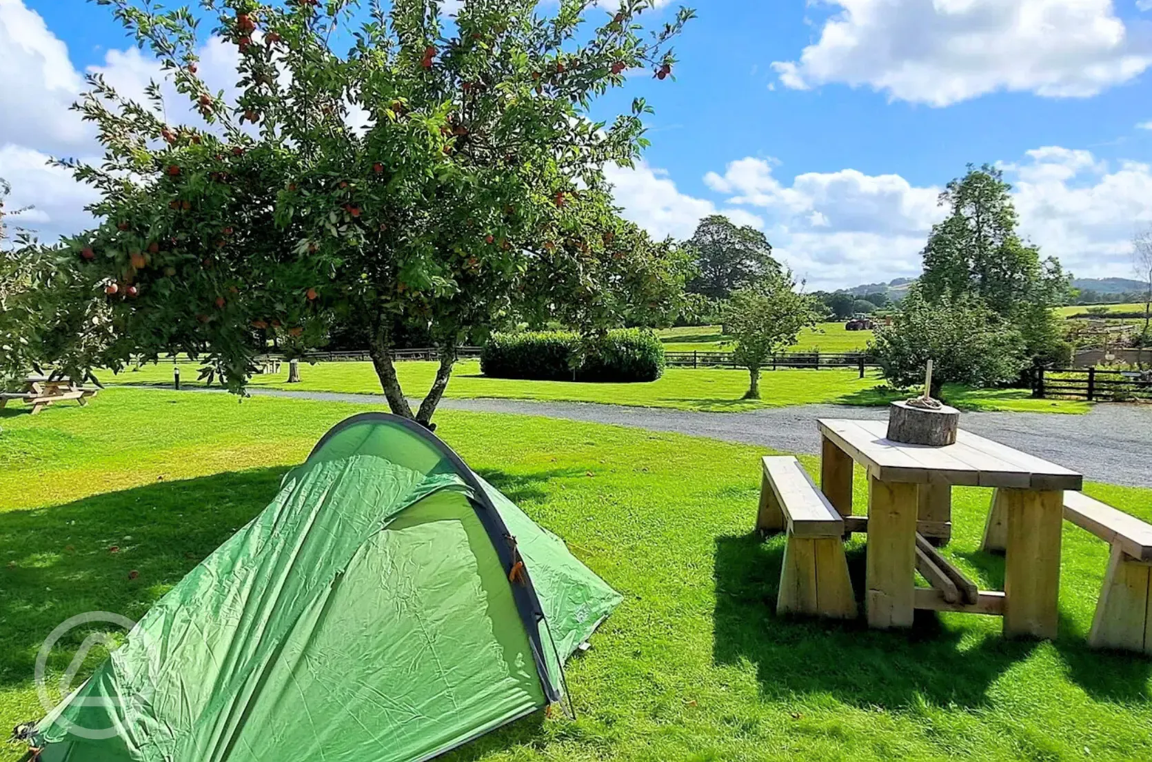 Grass tent pitches - optional electric