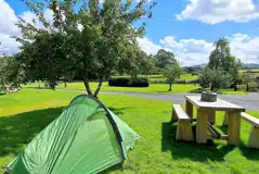 Grass tent pitches - optional electric Grass tent pitches - optional electric