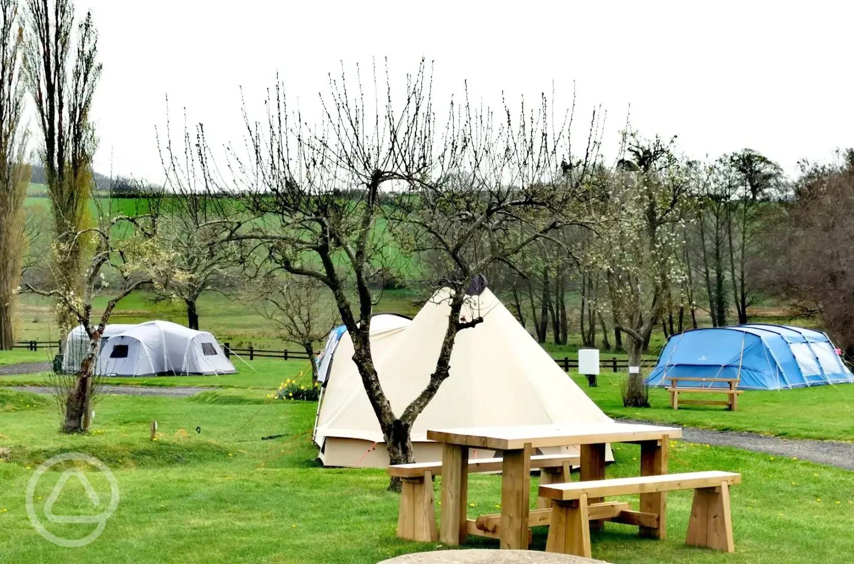 Grass tent pitches - optional electric