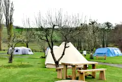Grass tent pitches - optional electric Grass tent pitches - optional electric