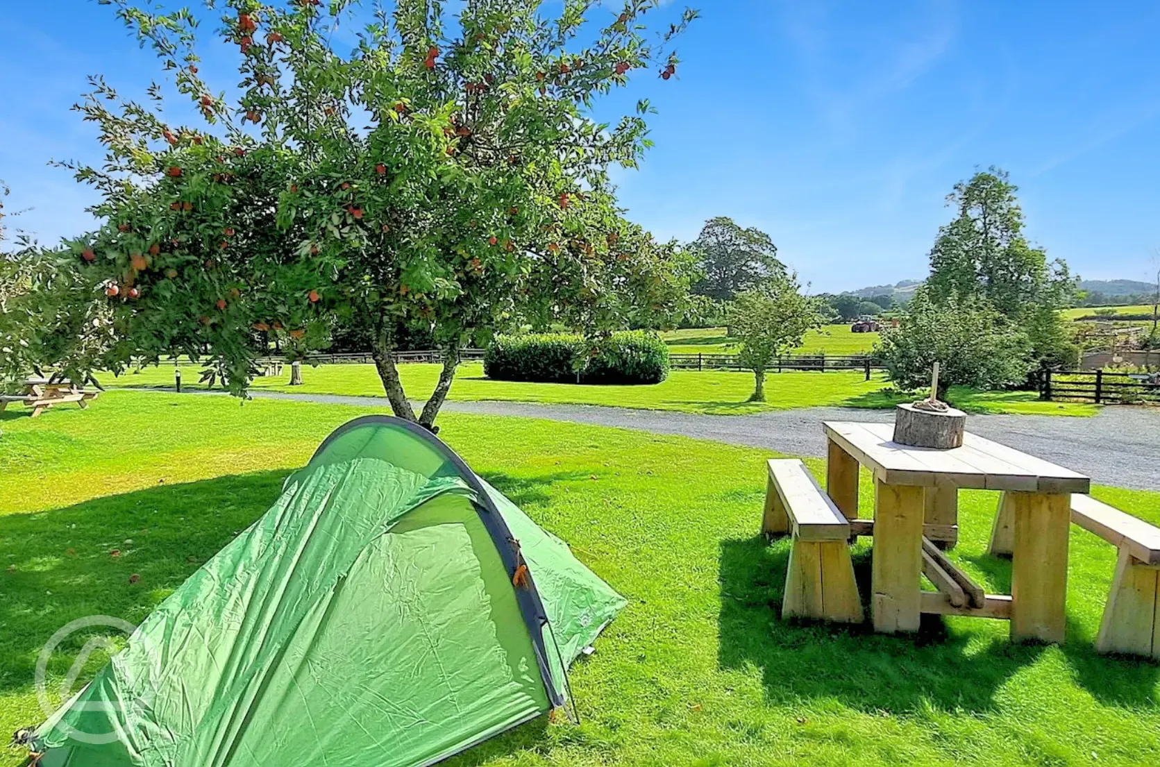 Grass tent pitches - optional electric 