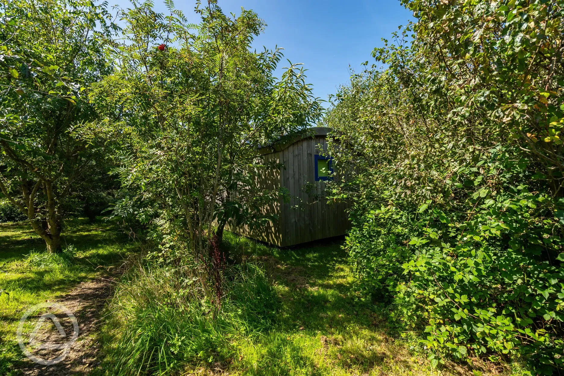 Small woods shepherd's hut