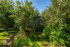 Small woods shepherd's hut surrounded by woodlands