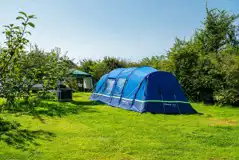 Wild grass camping pitches without electric