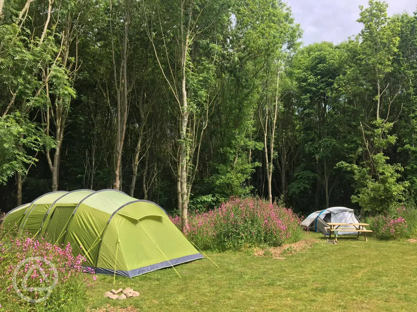 Camping Pitches