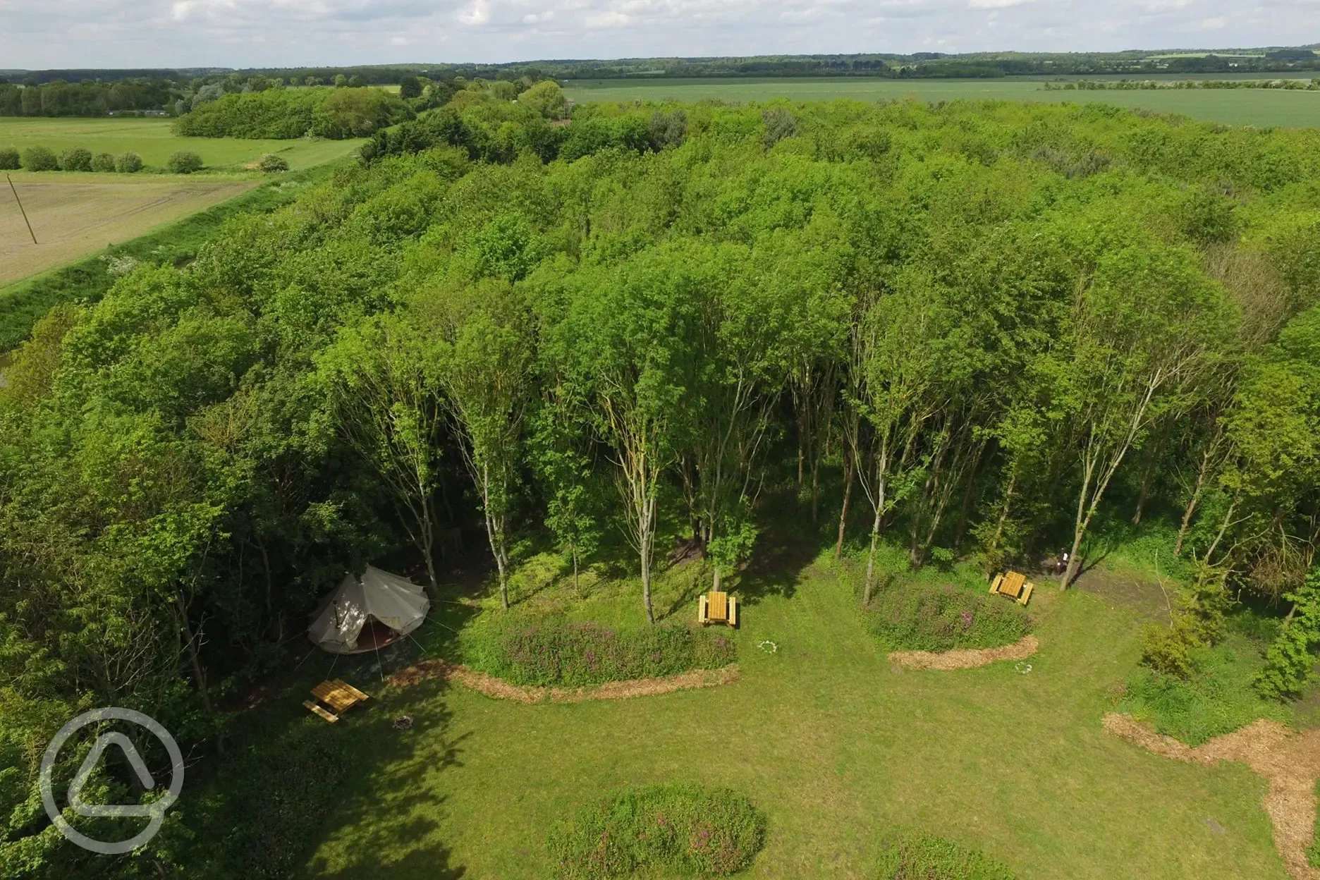Overview of the site in woodland New Farm Holidays