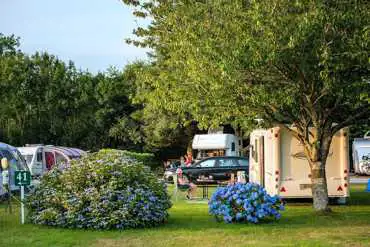 Grass camping and touring pitches (8m x 8m) with optional electric