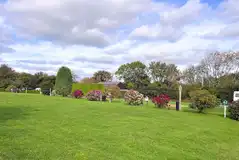 Grass camping and touring pitches backed by shrubbery