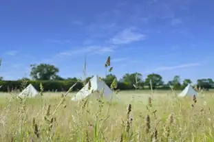 Ling's Meadow, Hepworth, Diss, Suffolk (16 miles)