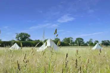 Bell tents