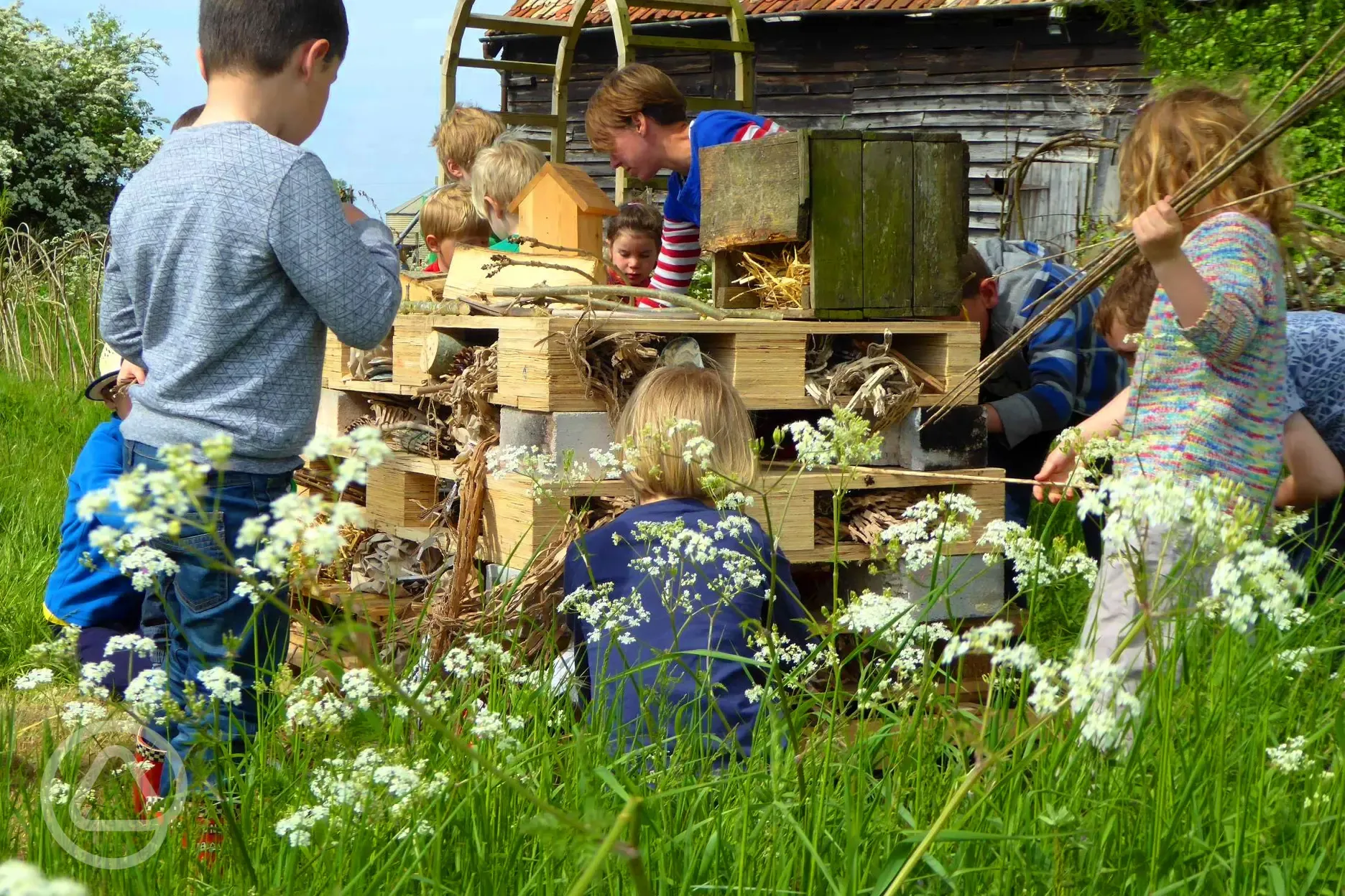Building the bug hotel
