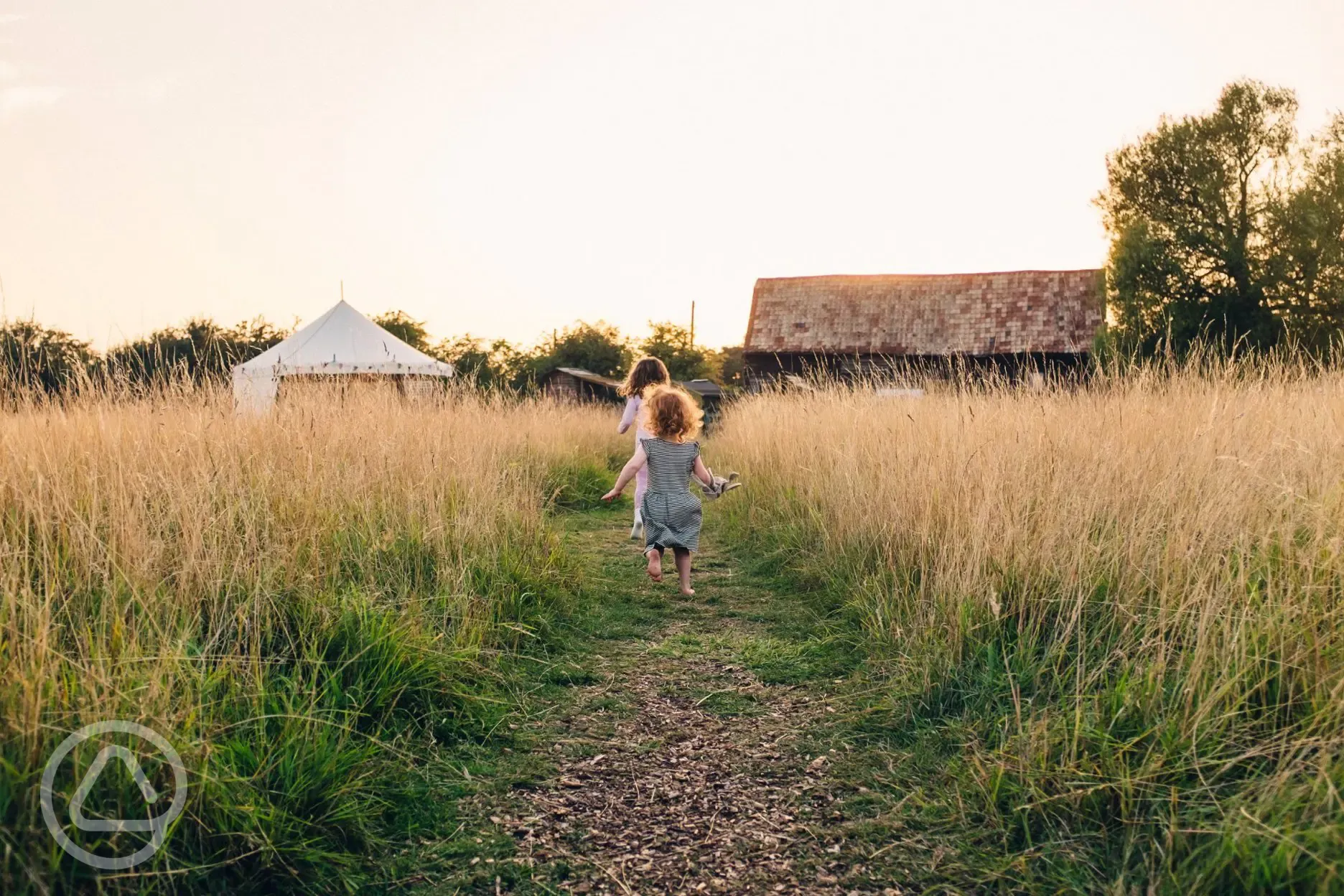 Running through the meadow Running through the meadow